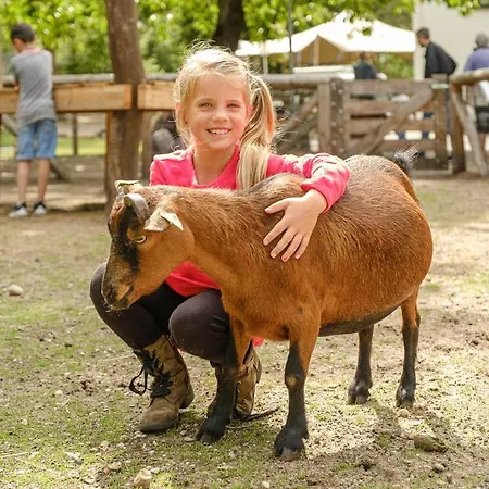 Vakantiepark Landal Coldenhove