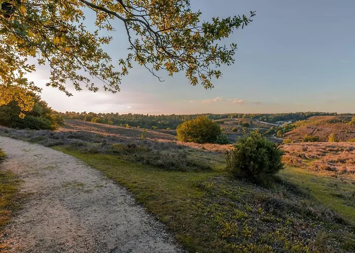 Отель Landal Coldenhove *