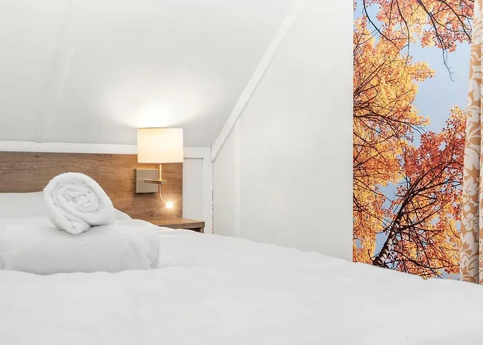 Landal Coldenhove Hotel *